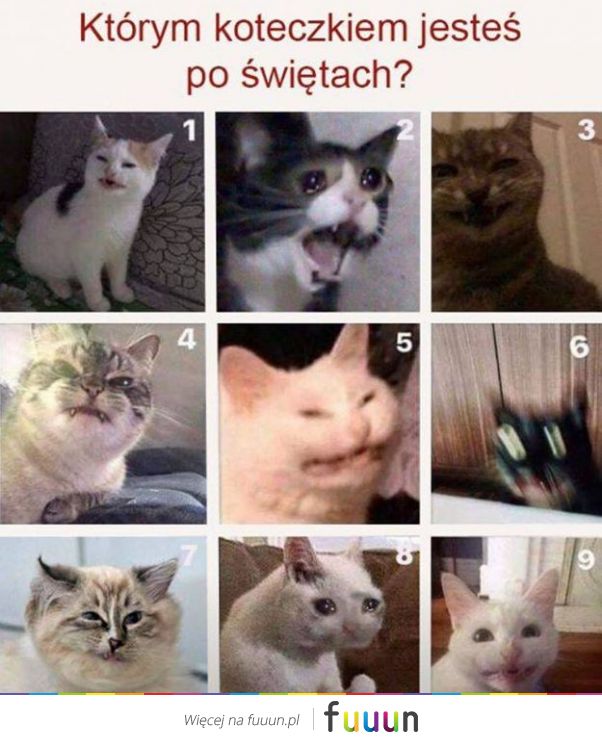 Suchar codzienny #1079