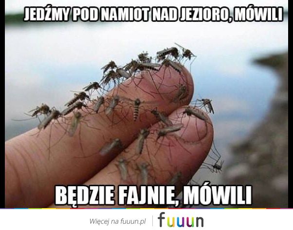 Ja Jebie #1215