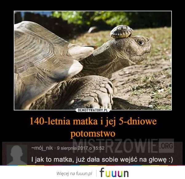 Mistrzowie #1597