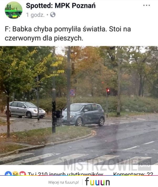 Mistrzowie #3979