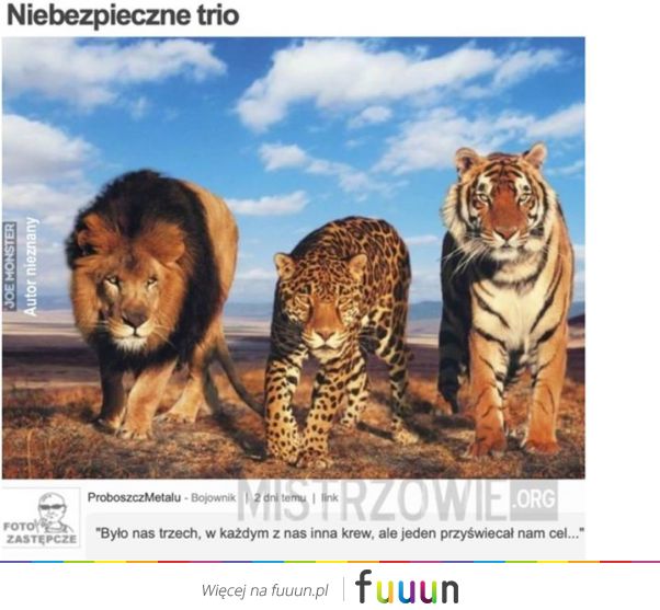 Mistrzowie #4815