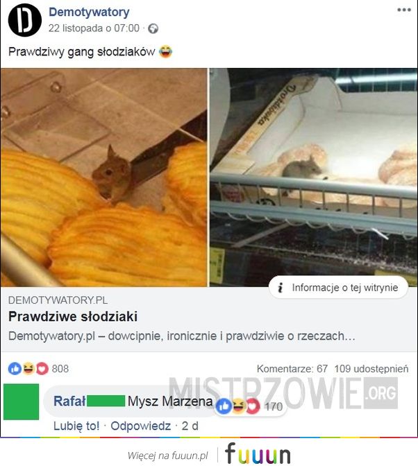 Mistrzowie #4219