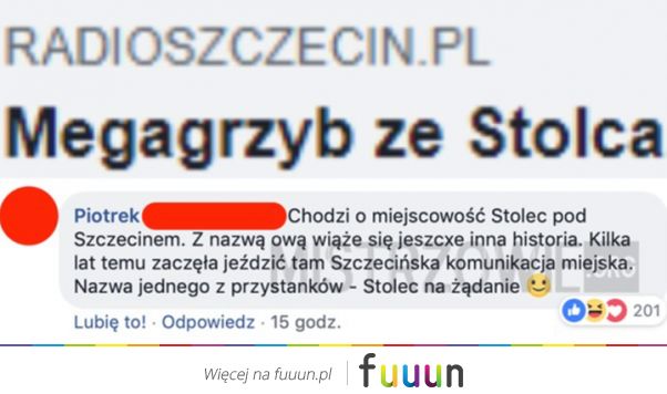 Mistrzowie #3916