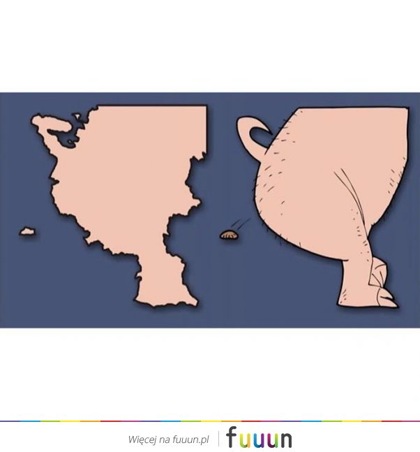 Suchar codzienny #1426