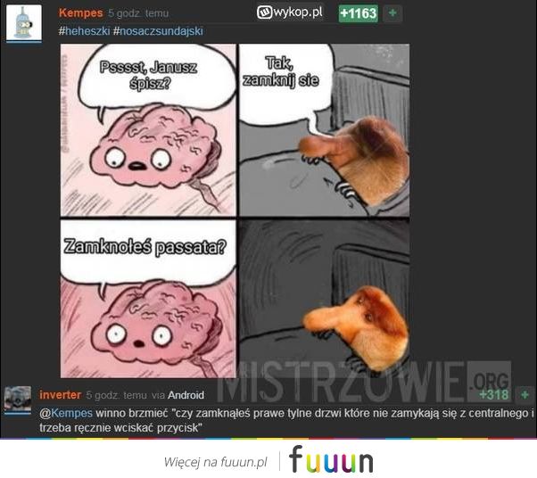 Mistrzowie #4870