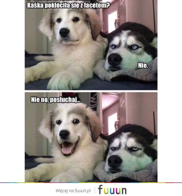 Suchar codzienny #1088