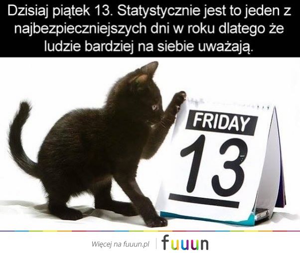 Suchar codzienny #459