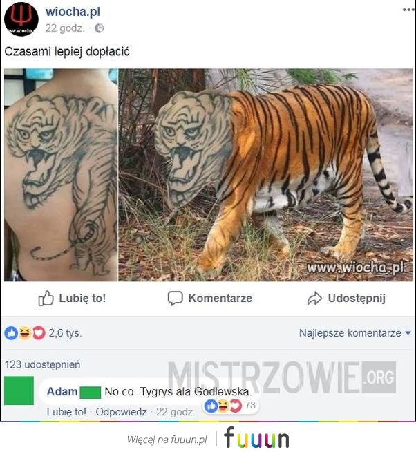 Mistrzowie #2524