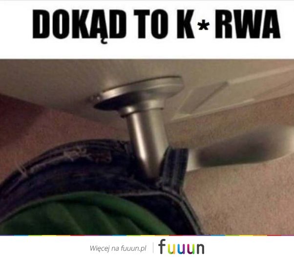 Suchar codzienny #558