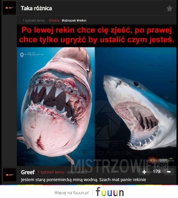 Mistrzowie #4784