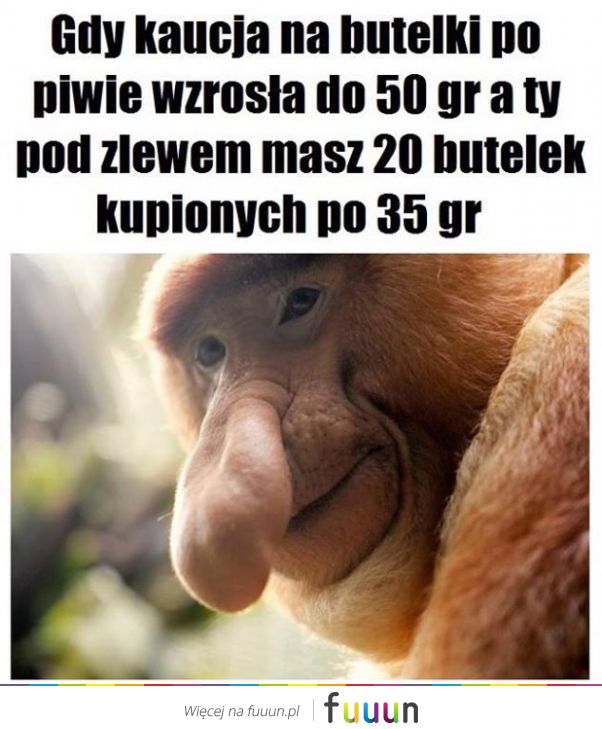 Ja Jebie #1229