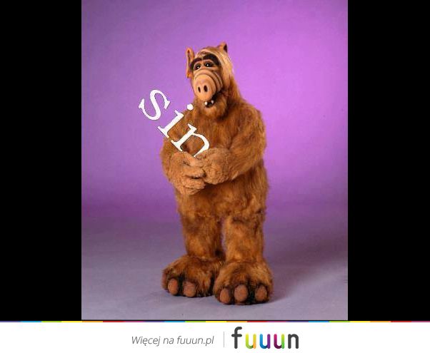 Suchar codzienny #62