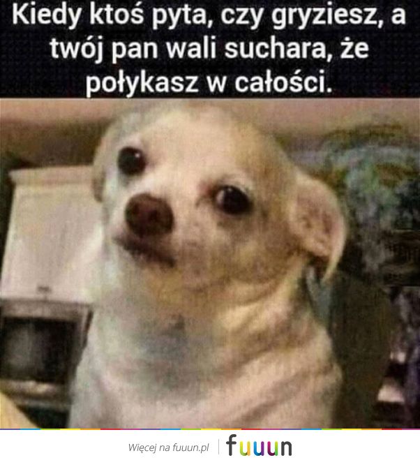 Suchar codzienny #1206