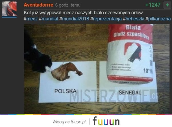 Mistrzowie #3281