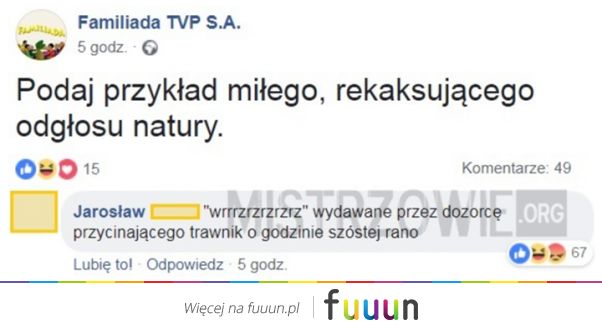 Mistrzowie #3978