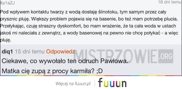Mistrzowie #4906
