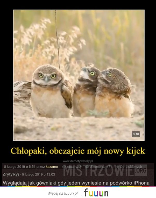 Mistrzowie #4758