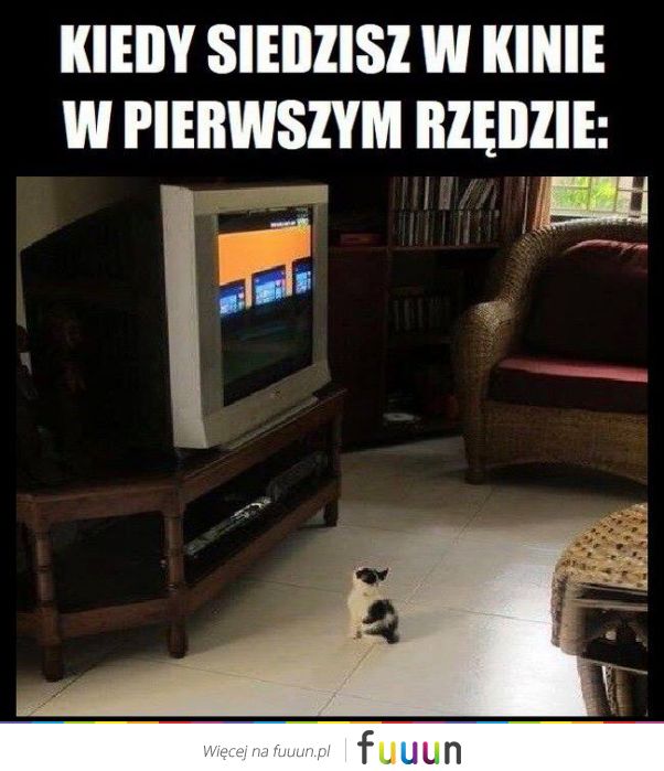 Suchar codzienny #475