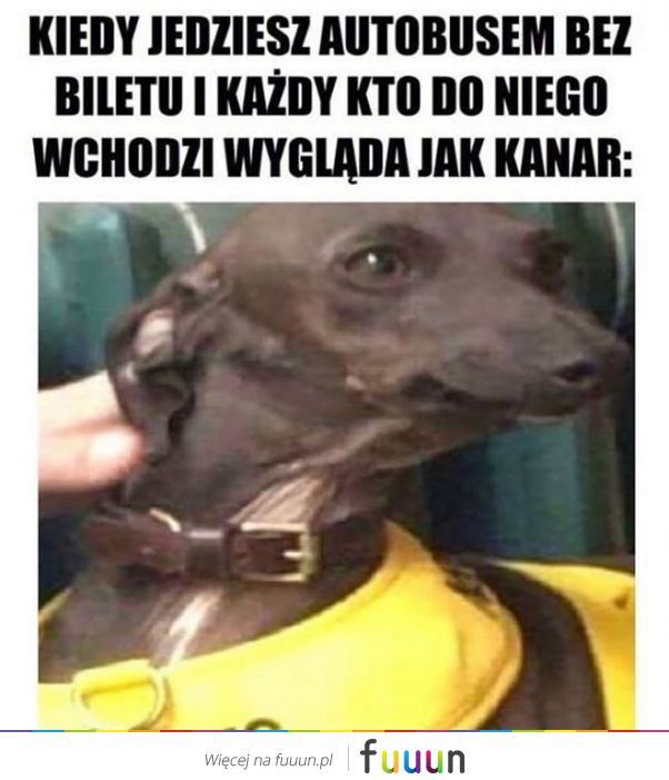 Suchar codzienny #598