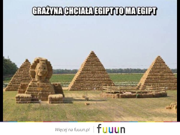 Suchar codzienny #89