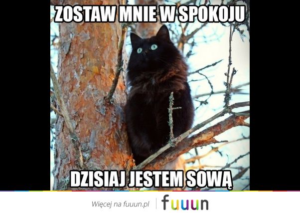Ja Jebie #2448