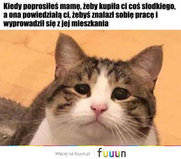 Suchar codzienny #1035