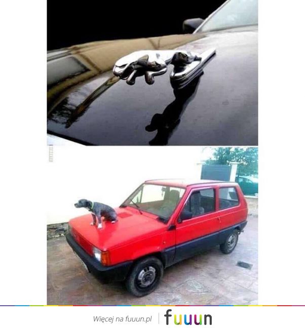 Suchar codzienny #1271