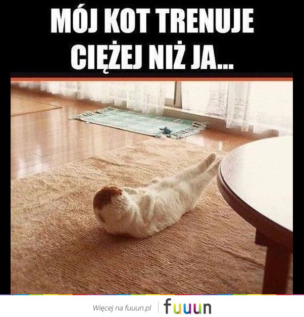 Suchar codzienny #646
