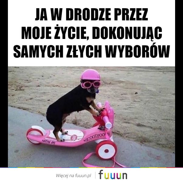 Suchar codzienny #544