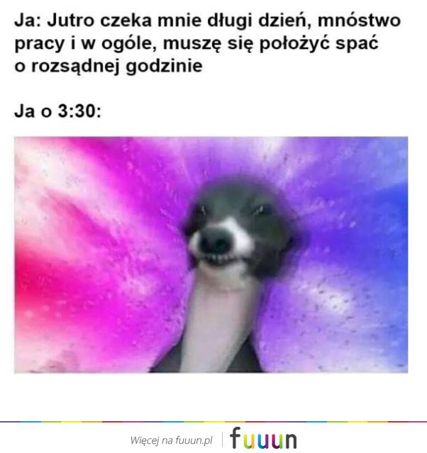Ja Jebie #1257