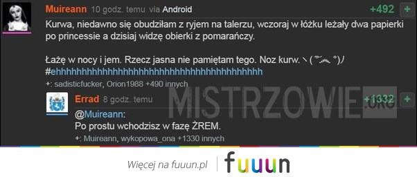 Mistrzowie #2487