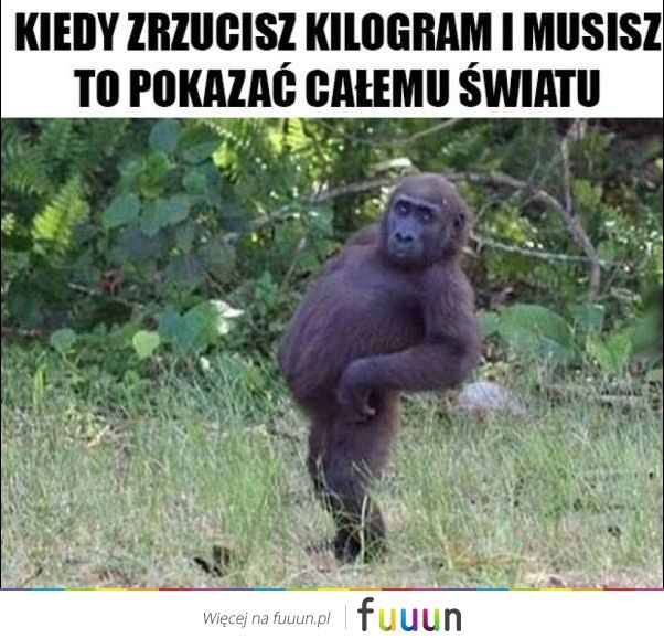 Suchar codzienny #470