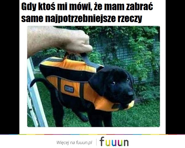 Suchar codzienny #469