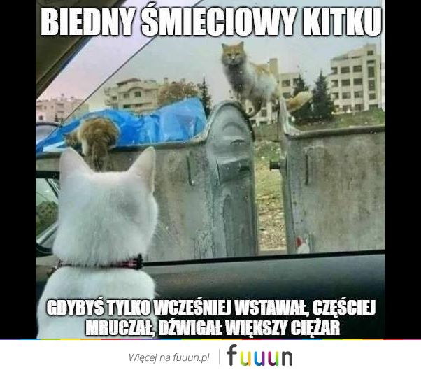 Ja Jebie #2478
