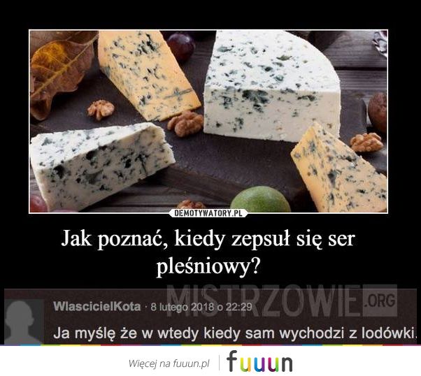 Mistrzowie #2585