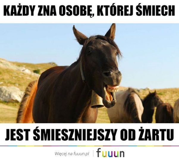 Suchar codzienny #513