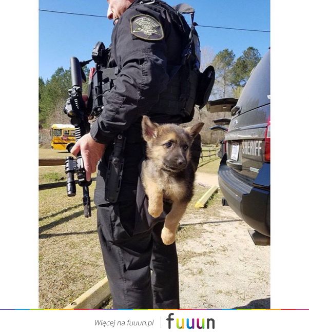 Suchar codzienny #1294