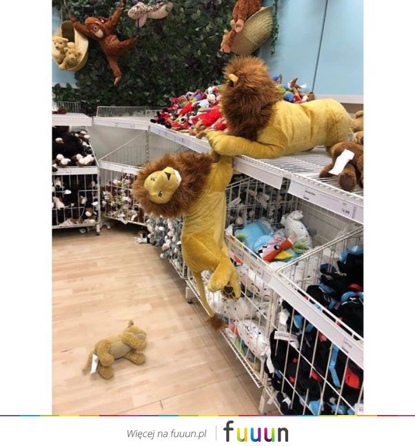 Suchar codzienny #1348