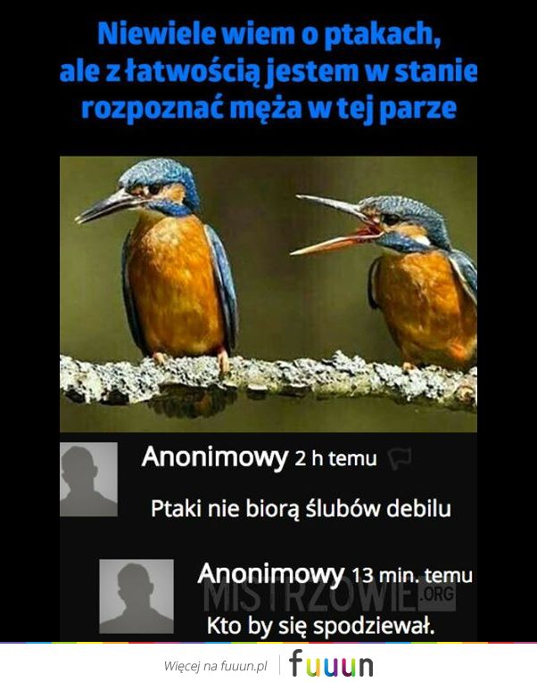 Mistrzowie #1607