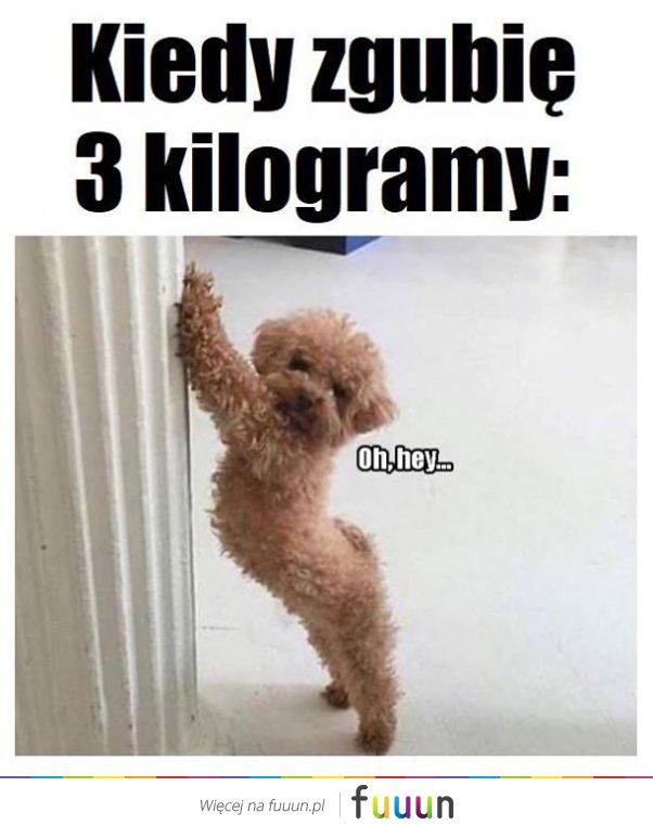 Suchar codzienny #430