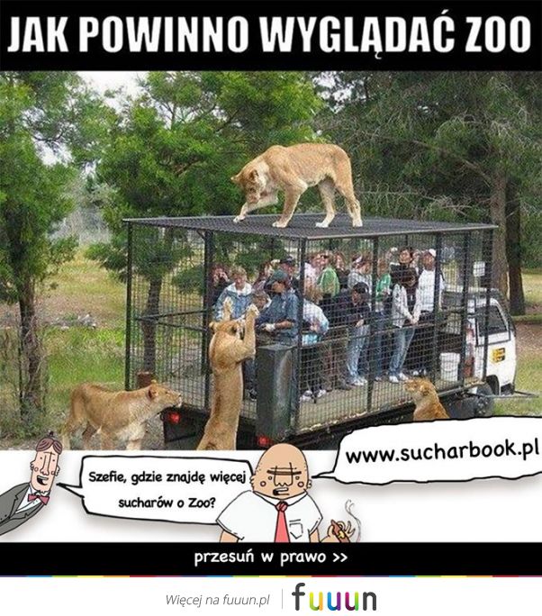 Suchar codzienny #550