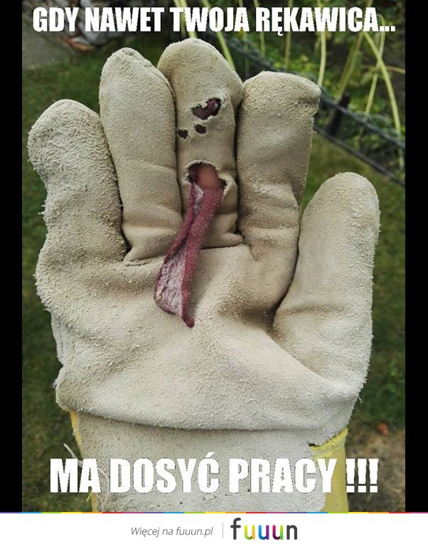 Suchar codzienny #166