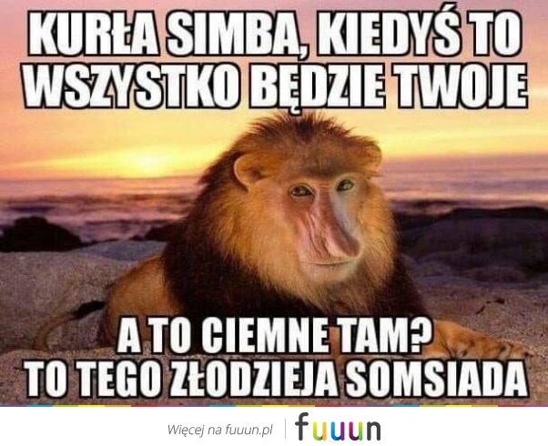 Ja Jebie #2492