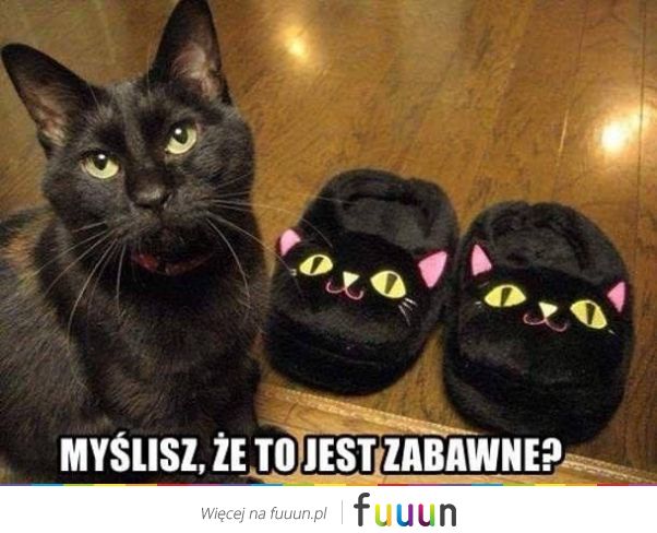 Suchar codzienny #1161