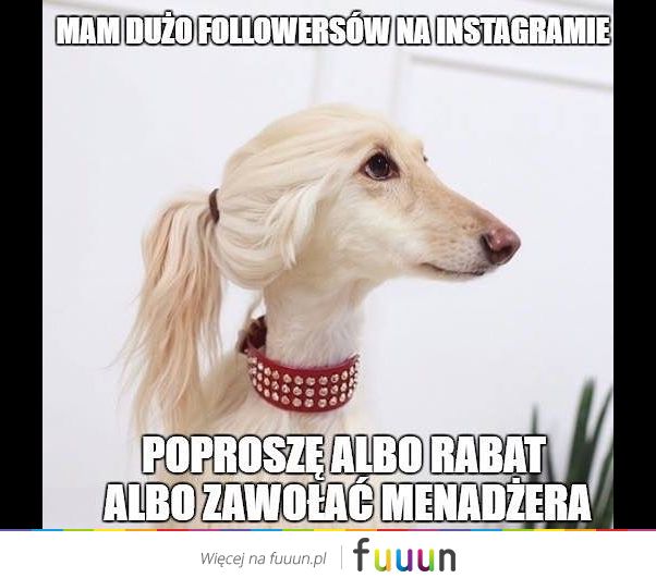 Suchar codzienny #1367