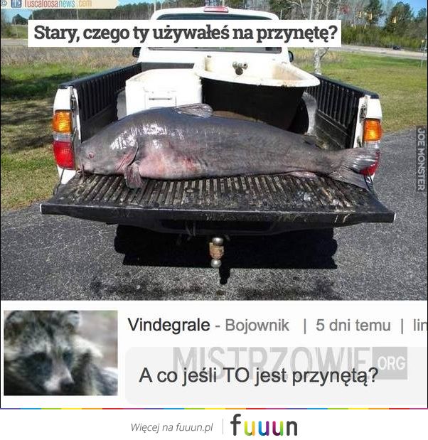 Mistrzowie #2629