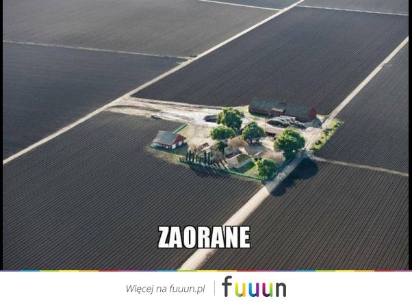 Ja Jebie #1290