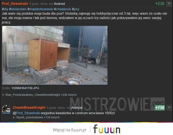 Mistrzowie #3955