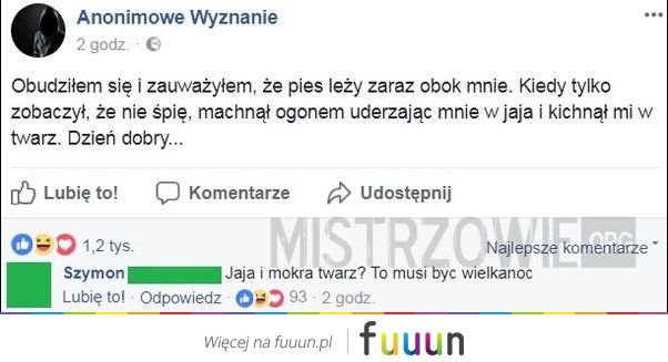 Mistrzowie #2845