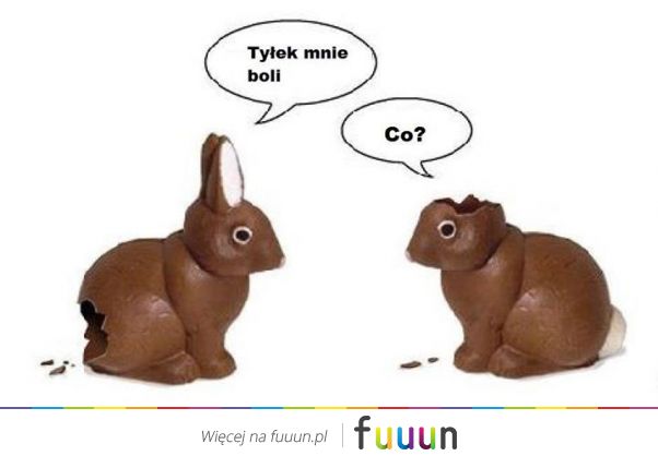 Suchar codzienny #440